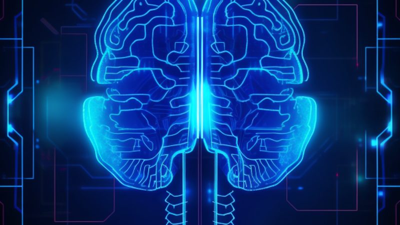 模型保存与加载：关键步骤与注意事项